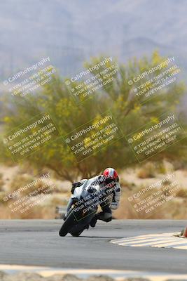 media/Apr-10-2022-SoCal Trackdays (Sun) [[f104b12566]]/Turn 5 Tree of Life (1040am)/